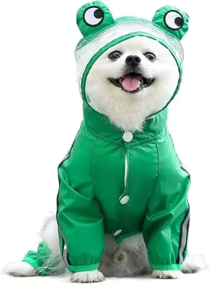 Produktbild von Wasserdichte Outdoorjacke mit Kapuze, atmungsaktiv, für kleine Hunde und Katzen, Größe M