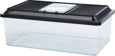 Image de Fauna-Box Low 50,5 x 30,5 x 18 cm, 18,0 litres noir