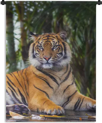 Produktbild von MuchoWow® Wandteppich Wandbehang Tiger - Tiere - Wald - Dschungel 150x200 cm Tapisserie Dekoration Wandtuch - Wandaufhängung - Moderner