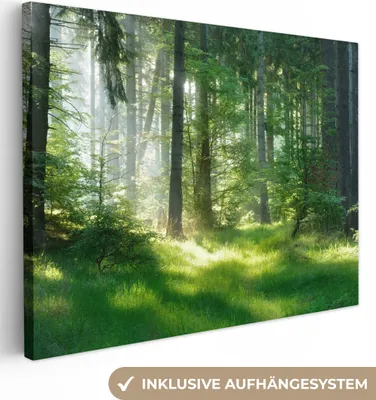 Produktbild von MuchoWow® - Leinwandbilder - Natur - Bäume - Wald - Grün - Sonne - Gras - Pflanzen, Wandbild, Wanddeko Bilder Wohnzimmer, 120x90cm