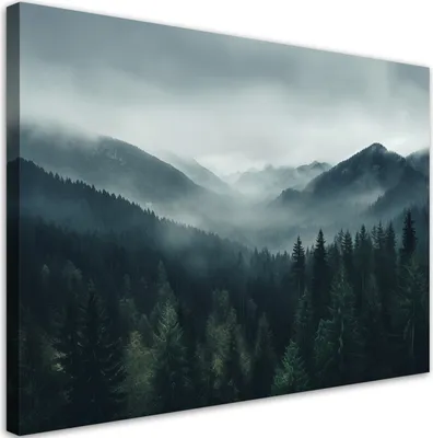 Produktbild von Leinwandbild Wald im Nebel 90x60 Feeby Grau bild für die wand bereit zum aufhängen