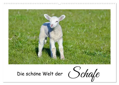 Produktbild von Die schöne Welt der Schafe (Wandkalender 2027 DIN A2 quer), CALVENDO Monatskalender
