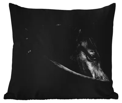 Produktbild von MuchoWow® Outdoor Kissen - Pferde - Porträt - Schwarz - Tiere - 50x50 cm - Wetterfest - Lounge Kissen - Komfortabel - Kissen mit Bild