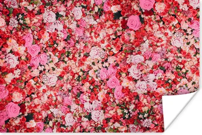 Produktbild von MuchoWow® Poster Blumen - Farben - Rosen 120x80 cm - Bilder