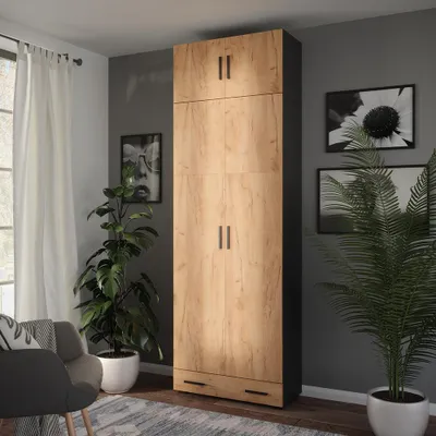 A tall, wooden wardrobe with black accents stands in a room with plants and artwork on the wall.
