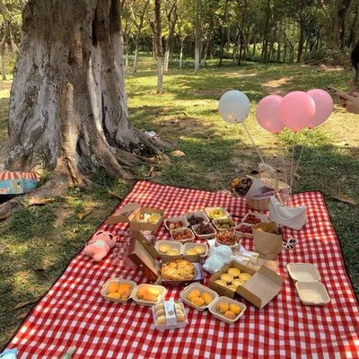 Produktbild von Wicker Rücksichtslose Picknickhaube für den Landgasthof und Freiluftfestlichkeiten