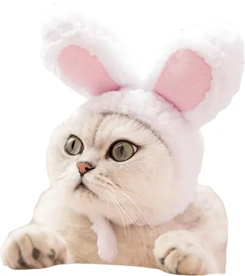 Produktbild von Niedlicher Kostüm-Hasenhut mit Ohren für Katzen, Party-Kostüm-Zubehör, Kopfbedeckung
