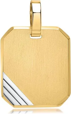 Produktbild von Anhänger Dogtag bicolor 333er Gelbgold+Weißgold (8K Gold) GP0206