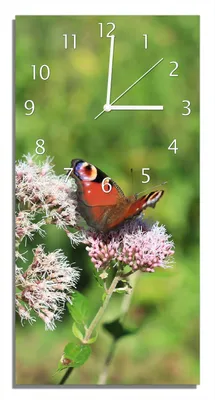 Produktbild von Wallario Design Wanduhr Schmetterling auf Blüte aus Echtglas, Größe 30 x 60 cm
