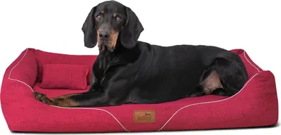 Produktbild von tierlando® Orthopädisches Hundebett WILLIAM Couture | Bequemes Hundesofa - Größe: 130x100cm | Farbe: 04 Dunkelrot