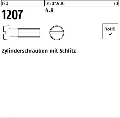 Produktbild von Reyher  Zylinderschrauben ISO 1207 4.8 M 10 x 25 (200 Stück)