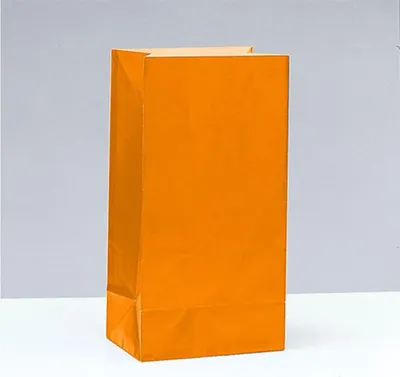 Produktbild von Tüte Papier Uni 25x12x9cm, 12Stk. Orange