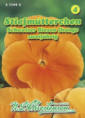 Artikelbild 1 von '[STREICHUNG 2026] Stiefmütterchen Schweizer Riesen Orange'