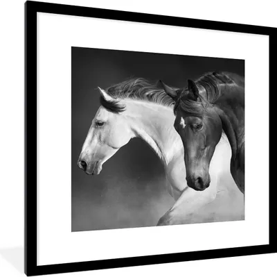 Produktbild von MuchoWow® Gerahmtes Poster Pferde - Tiere - Schwarz - Weiß - Porträt 40x40 cm - Poster mit Schwarzem Bilderrahmen Wandposter Rahmen Foto Bilder - Poster - Plakat im Rahmen