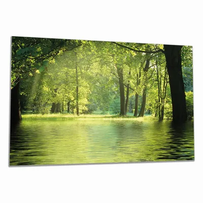 Produktbild von Wallario Herdabdeckplatte aus Glas, Größe 90 x 52 cm 1-teilig, Motiv Idyllischer See im Wald bei Sonnenschein