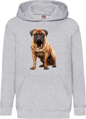 Obrázok produktu pre Detská Mikina S Kapucňou Dogs Breeds Bullmastiff Dog Breed 006, 12-13 Jahr - 152 / Heather šedá