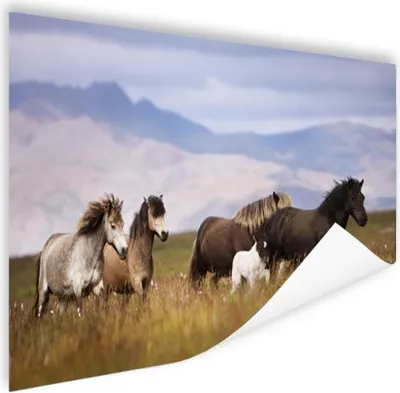 Produktbild von MuchoWow® Poster Pferde - Gras - Berge 180x120 cm - Fotoplakat