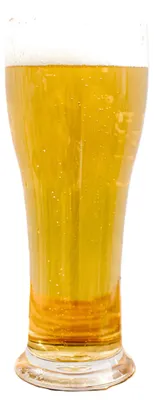 Produktbild von MPDrink Bierglas - SAN Kunststoff - 25 cl - unzerbrechlich - wiederverwendbar - Bierglaser