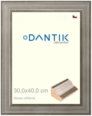 Zdjęcie produktu dla Ramka DANTIK 30x40 | Museo srebrna (Plexi przezroczysta)