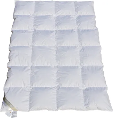 Produktbild von Betten Hofmann White Sibiria Schneegänseflaum Daunendecke Bettdecke 4x6 155x220 cm