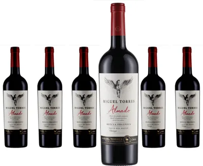 Produktbild von 6 x Miguel Torres Chile Almado