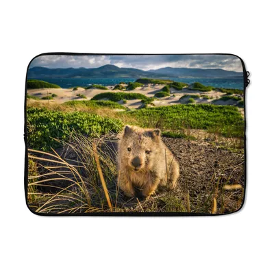 Produktbild von MuchoWow® Laptop Hülle 14 ZollWombat am Lesueur Point in Tasmaniens Maria Island National Park Laptoptasche - Laptoptasche - Stoßsicher - Schutzhaube