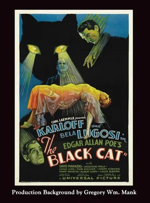 Produktbild von The Black Cat (hardback)