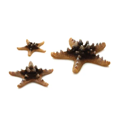 Obrázek produktu pro biOrb Sea Star set 3 natural