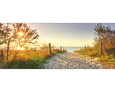 Produktbild von Glasbild To the Beach I 125x50 cm