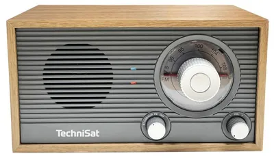 Productafbeelding van TECHNISAT Classic 205 Radio, grijs/gouden eikenhout