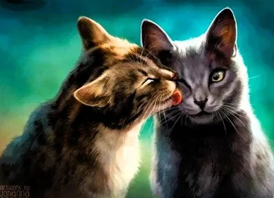 Image de Mosaïque diamant Norimpex - Amour de chat 1009216
