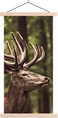 Produktbild von MuchoWow® Textilposter Hirsch - Natur - Geweih - Wald - Tiere 40x80 cm mit holzfarbenen Rahmen - Wohnzimmer