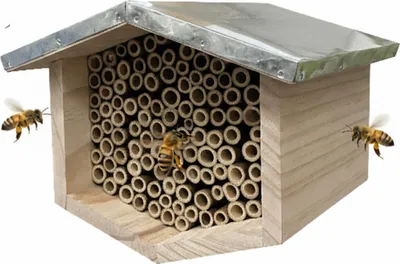 Produktbild von Relaxdays Bienenhotel, Holz, wetterfestes Metalldach, Bambusröhrchen, Garten, Insektenhotel zum Aufhängen, natur/silber