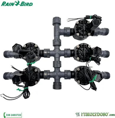 Image de Collecteur à 5 stations avec électrovanne Rain Bird HV 24V