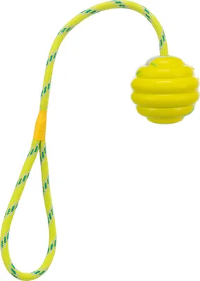 Zdjęcie produktu dla TRIXIE 33724, Pies, Kula, Pomarańczowy, Guma, 6 cm, 300 mm