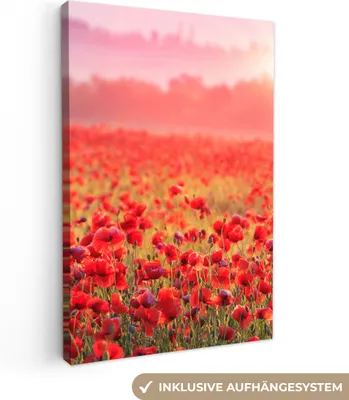 Obrázek produktu pro OneMillionCanvasses® - Plátno - Květiny - Mák - Červená - Květinové pole, nástěnný obraz, nástěnné dekorace obrazy obývací pokoj, 60x90cm