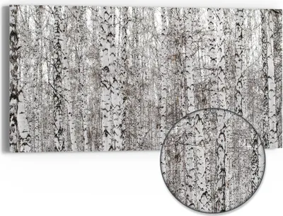 Produktbild von DEQORI Hybrid Leinwand Bild 60x30 cm 'Birkengeheimnis' Wandbild Glas flach modern