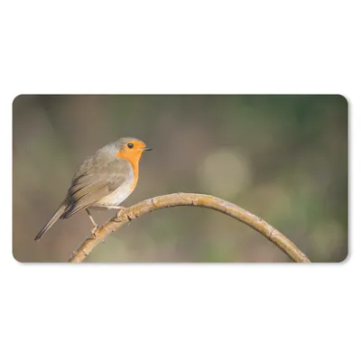 Produktbild von MuchoWow® Schreibtischunterlage Rotkehlchen - Vogel - Natur 80x40 cm - XXL Mauspad - Gaming Mauspad