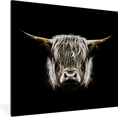 Produktbild von MuchoWow® Gerahmtes Poster Schottischer Highlander - Schwarz - Weiß - Hörner 40x40 cm - Poster mit Schwarzem Bilderrahmen Wandposter Rahmen Foto Bilder - Mit Rahmen - Wanddekoration Schlafzimmer