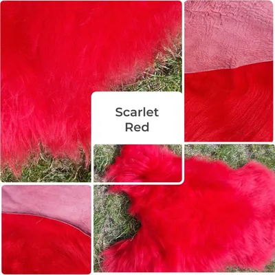 Produktbild von Premium Island Lammfell Schaffell Bunt Gefärbt Weich Fell Teppich Multicolor Scarlett 40x40cm rund