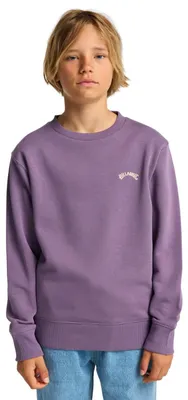 Obrázok produktu pre Pulóver Billabong All Day s potlačou, určený pre chlapcov (1 kus)