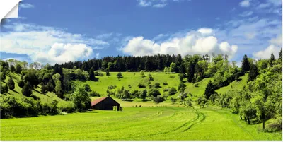 Produktbild von ARTland Poster Traumhafte Landschaft im Schwarzwald Größe: 60x30 cm