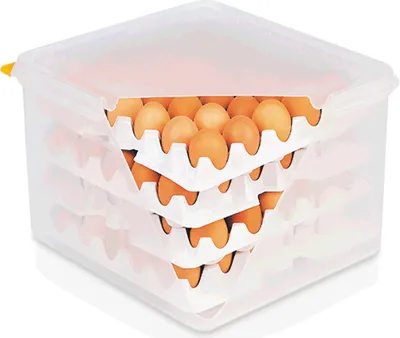 Produktbild von 3x HACCP Eierbox Transportbox