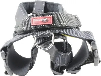Produktbild von Geschirr Sport mit integrierter Leine M 58-76 cm schwarz