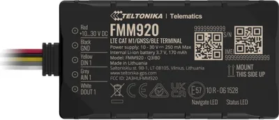 Produktbild von Teltonika FMM920