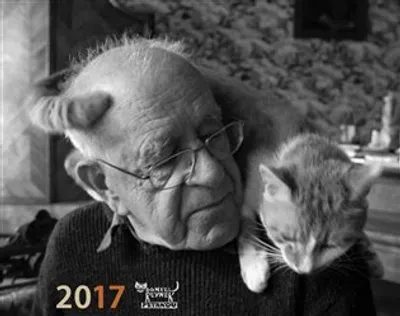 Zdjęcie produktu dla Kalendarz Daniela Reyneka 2017 – kalendarz biurkowy – Daniel Reynek