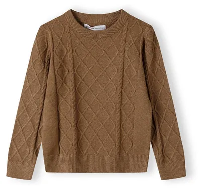 Produktbild von Minoti Pullover Braun Gr. 134 für Jungen