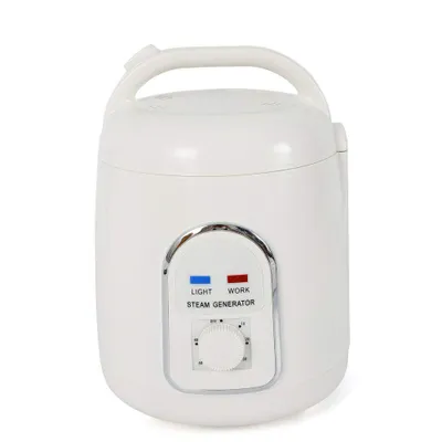 Zdjęcie produktu dla 1.5L Mini Generator Pary SPA Generator pary z timerem Garnek parowy do sauny Generator pary do kąpieli Parownica domowa Generator pary Prysznic