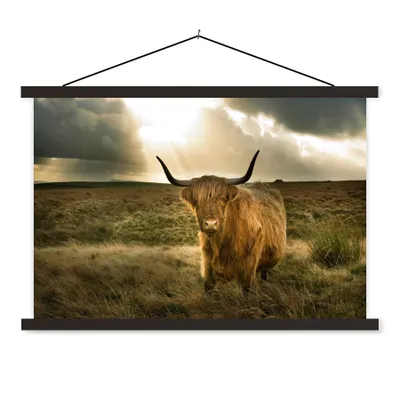 Produktbild von MuchoWow® Textilposter Schottischer Hochländer - Sonne - Gras 90x60 cm mit schwarzem Rahmen - Aufhängungssatz