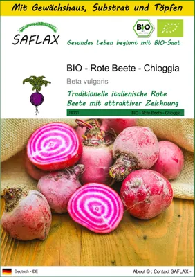 Produktbild von SAFLAX Anzucht Set - BIO - Rote Beete - Chioggia - Beta vulgaris - 70 Samen - Mit Mini-Gewächshaus, Anzuchtsubstrat und 2 Töpfen